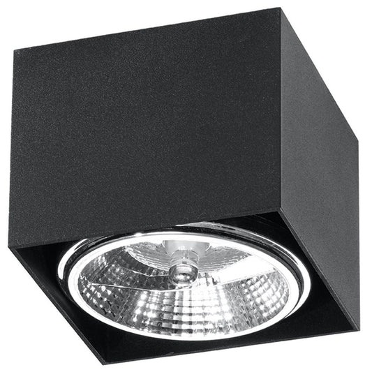 Black Loft Design Ceiling Light