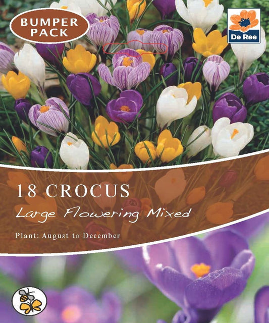 Crocus Large Flowering Mixed Bulbs