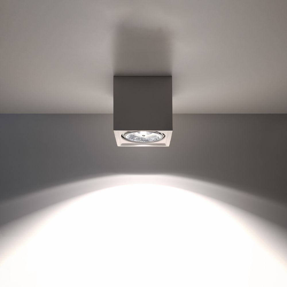 Ceramic Ceiling Light