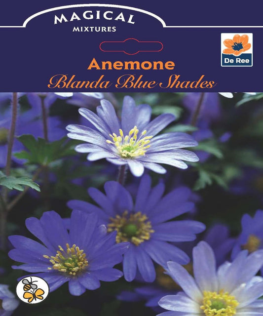 Anemone 'Blanda Blue Shades' Bulbs