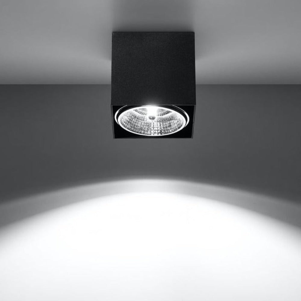 Black Loft Design Ceiling Light