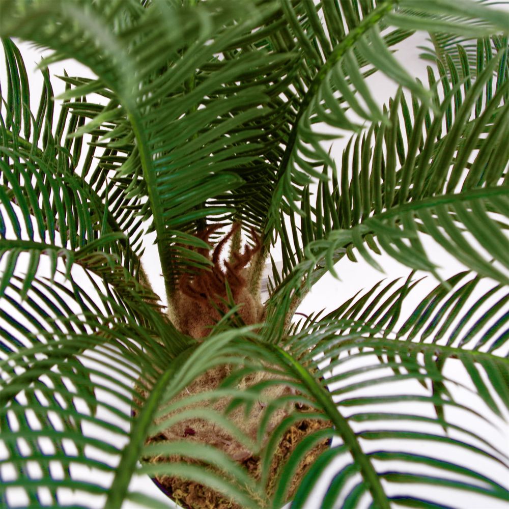 Artificial Cycas Palm Plant