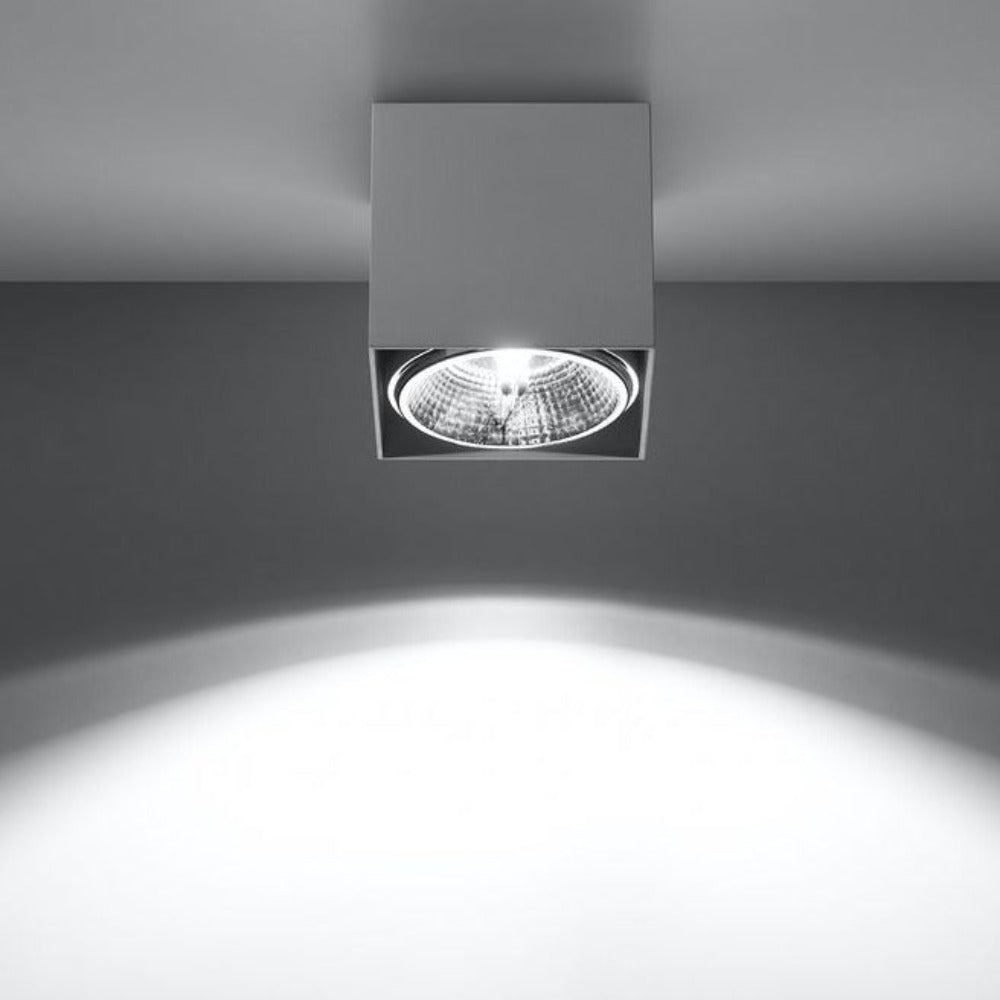 White Loft Design Ceiling Light