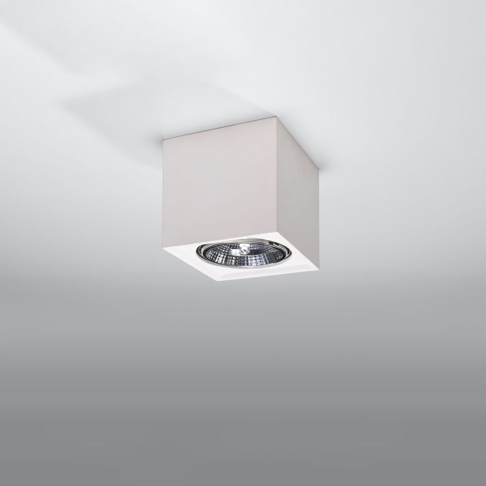 Ceramic Ceiling Light