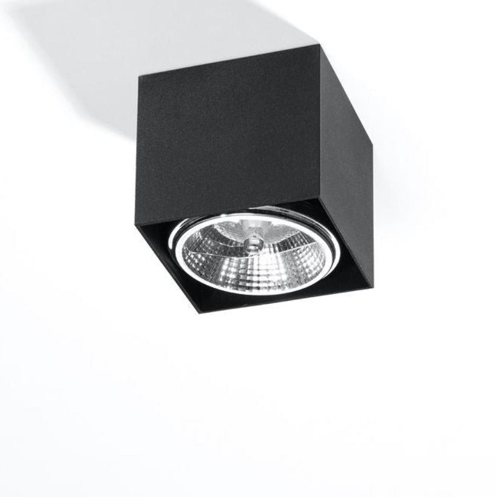 Black Loft Design Ceiling Light