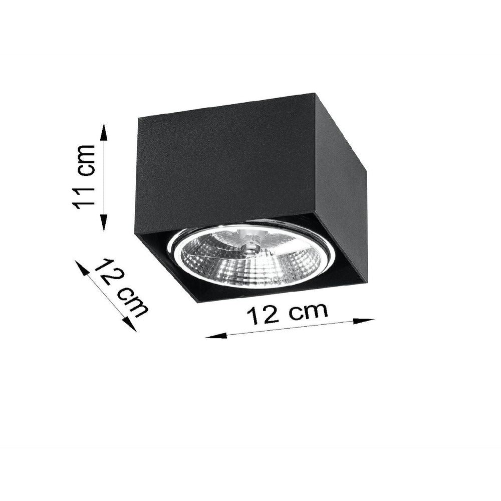 Black Loft Design Ceiling Light