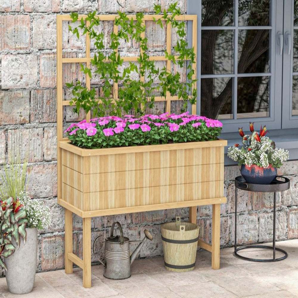 Elevated Planter with Trellis