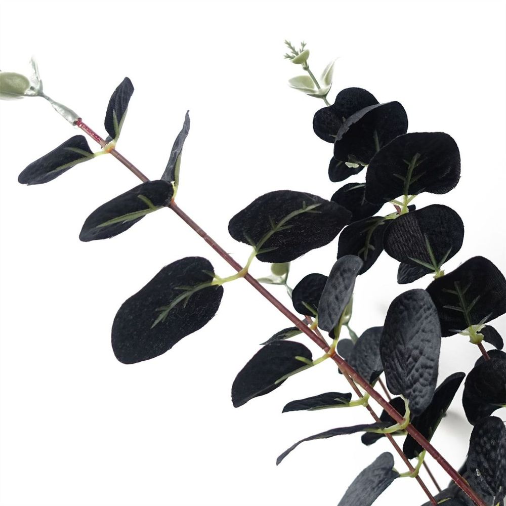 Black Eucalyptus Foliage Stem