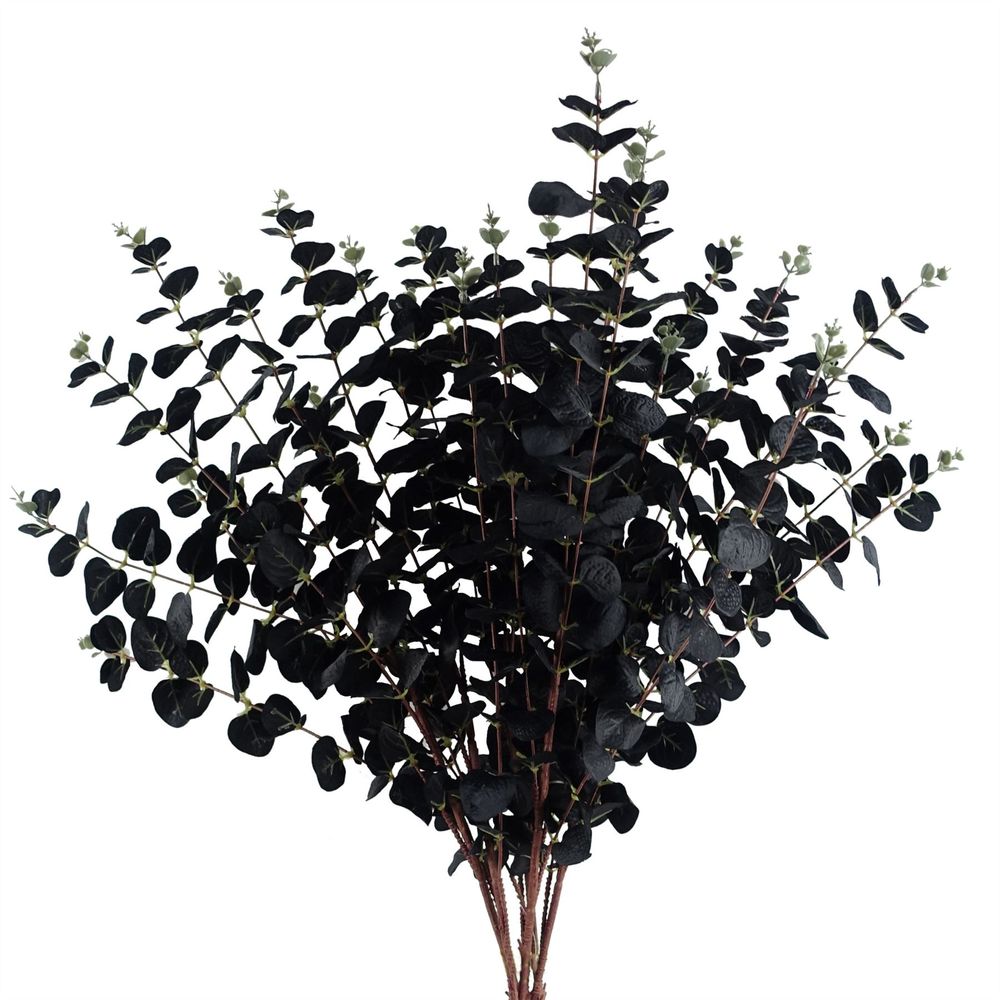 Black Eucalyptus Foliage Stem