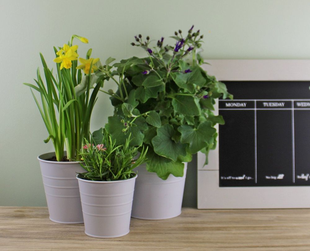 Round Metal Planters close view