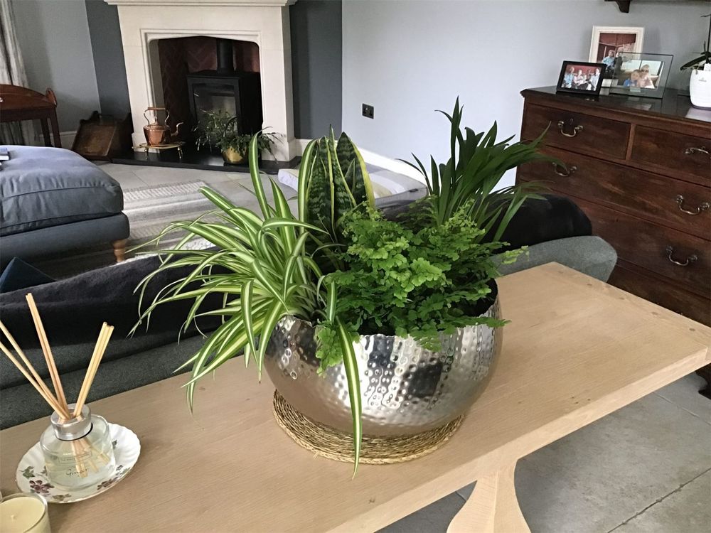 Silver Planter Bowl room view