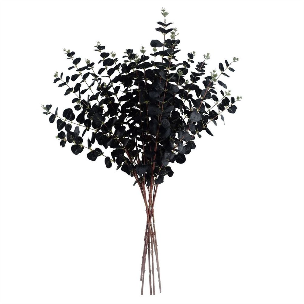 Black Eucalyptus Foliage Stem