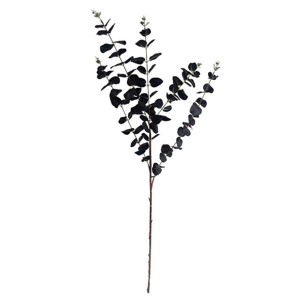 Black Eucalyptus Foliage Stem