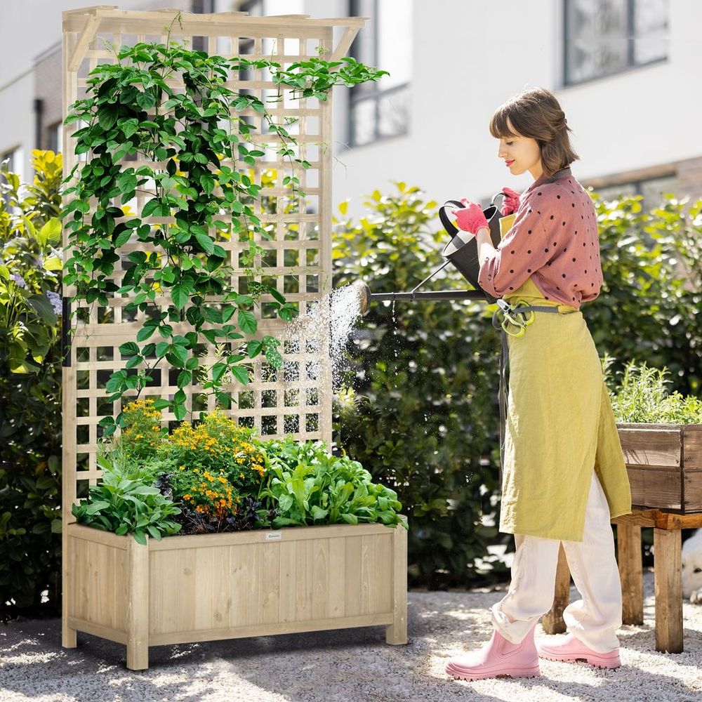 Planter with Trellis