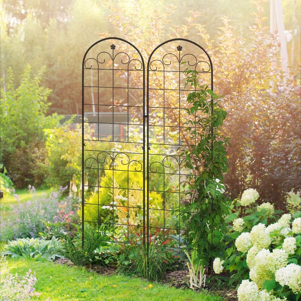 Metal Garden Trellis