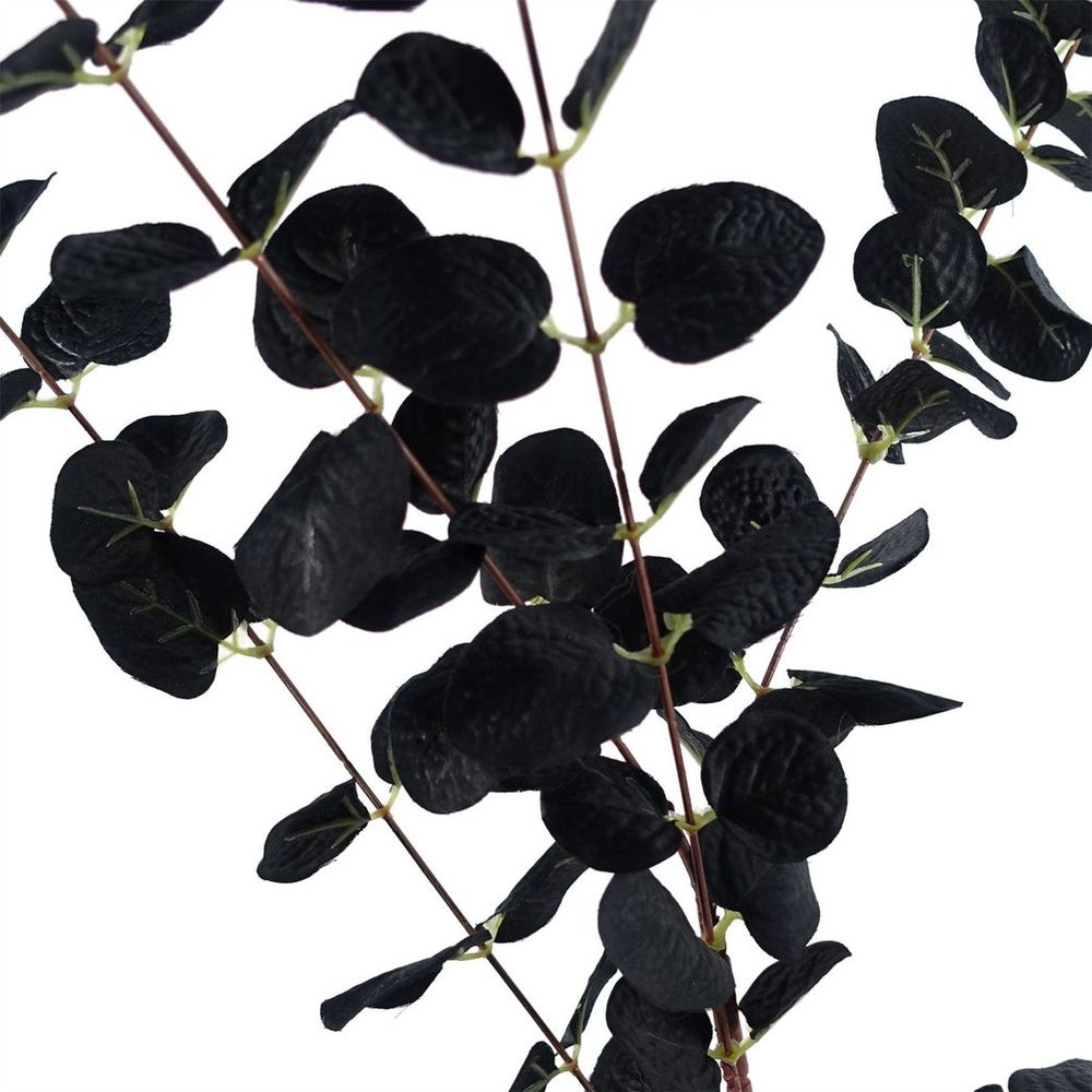 Black Eucalyptus Foliage Stem